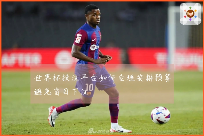 世界杯投注平台如何合理安排预算避免盲目下注