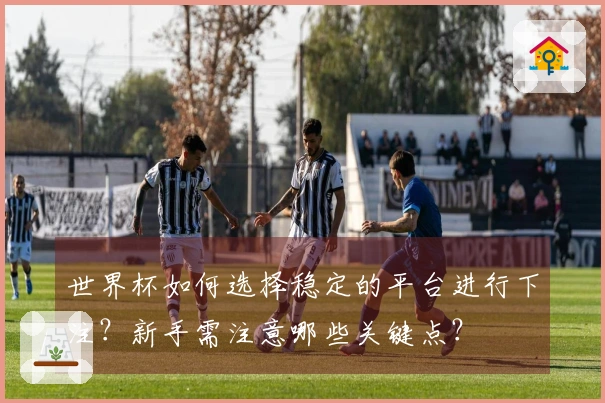 世界杯如何选择稳定的平台进行下注？新手需注意哪些关键点？