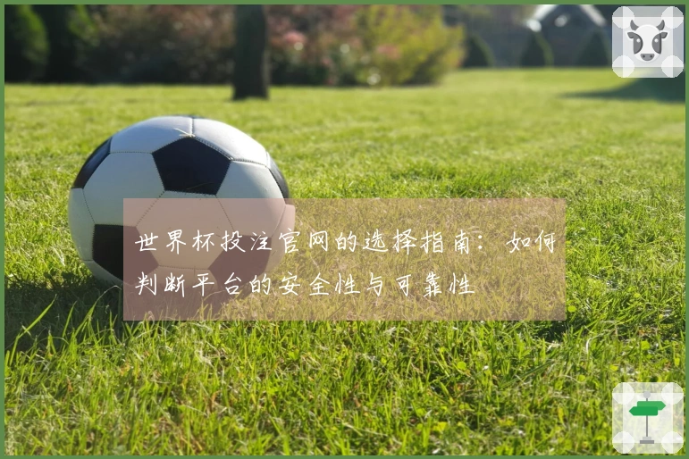 世界杯投注官网的选择指南：如何判断平台的安全性与可靠性