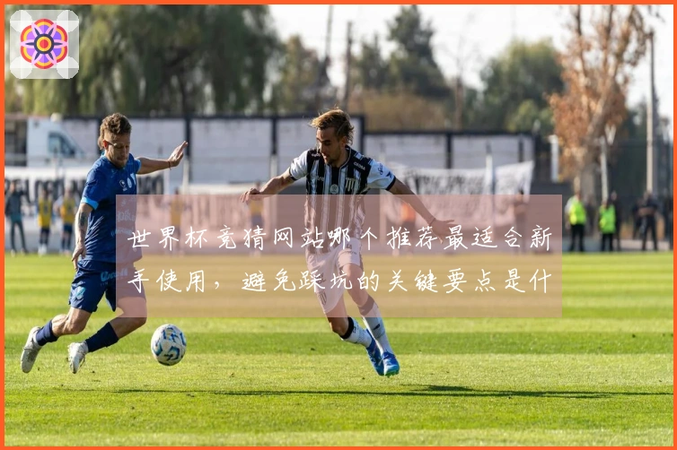 世界杯竞猜网站哪个推荐最适合新手使用，避免踩坑的关键要点是什么