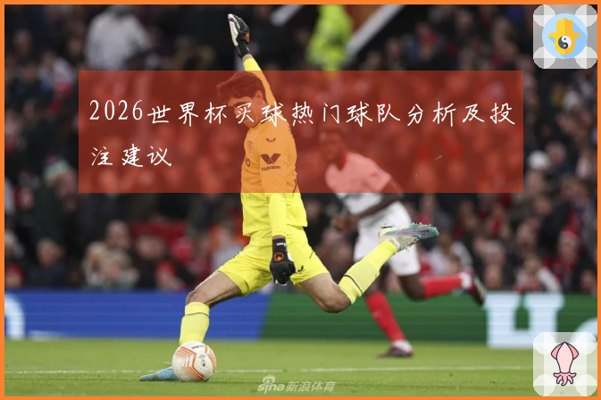 2026世界杯买球热门球队分析及投注建议