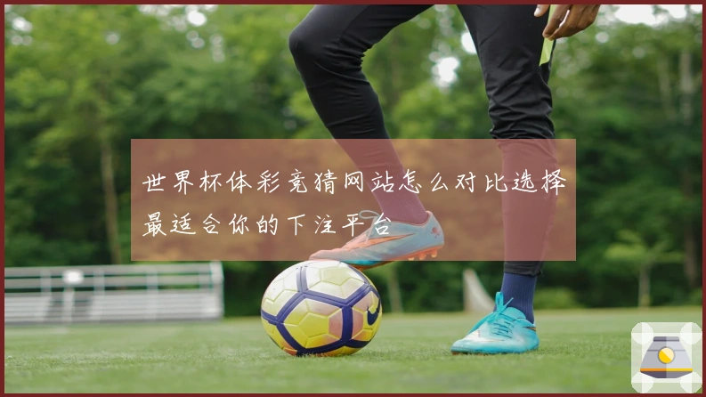 世界杯体彩竞猜网站怎么对比选择最适合你的下注平台