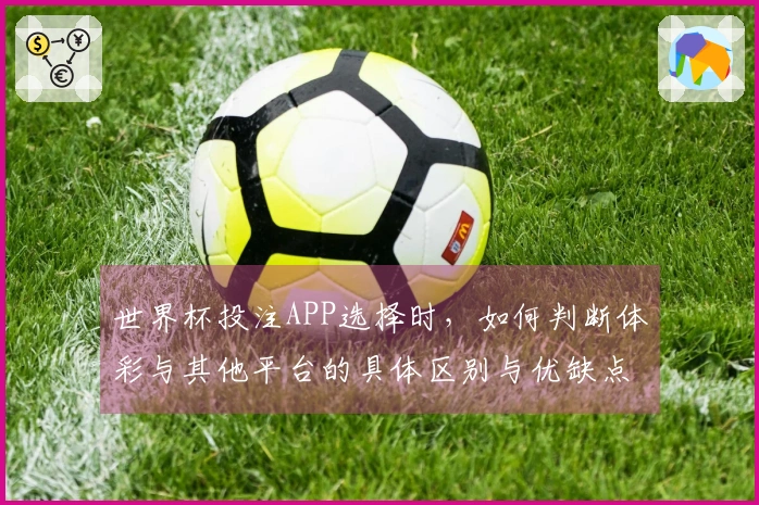世界杯投注APP选择时，如何判断体彩与其他平台的具体区别与优缺点？