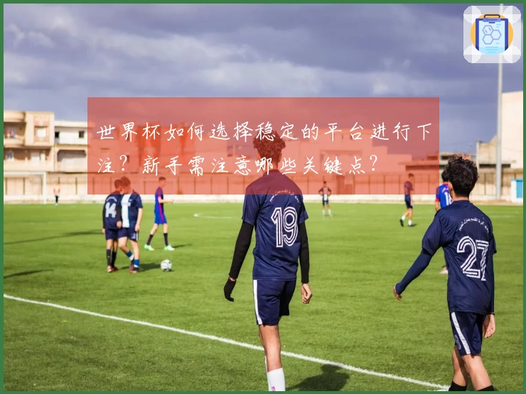 世界杯如何选择稳定的平台进行下注？新手需注意哪些关键点？