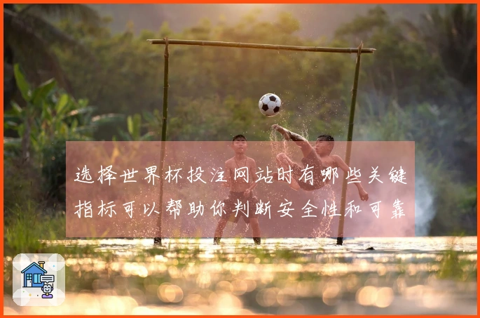 选择世界杯投注网站时有哪些关键指标可以帮助你判断安全性和可靠性？