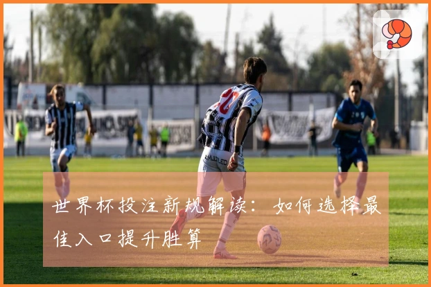 世界杯投注新规解读：如何选择最佳入口提升胜算