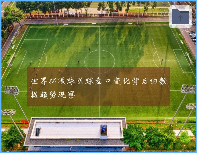 世界杯滚球买球盘口变化背后的数据趋势观察