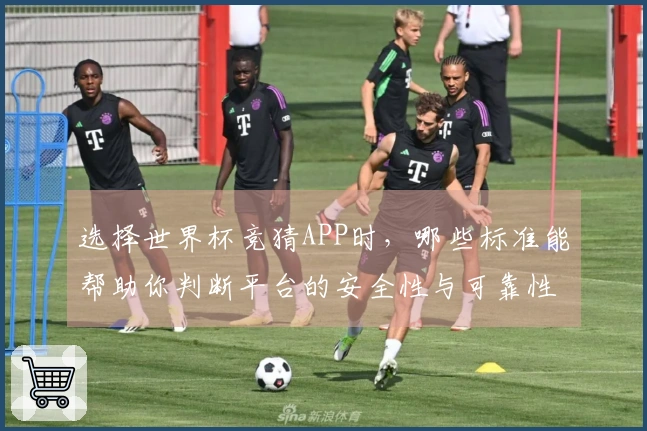 选择世界杯竞猜APP时，哪些标准能帮助你判断平台的安全性与可靠性？
