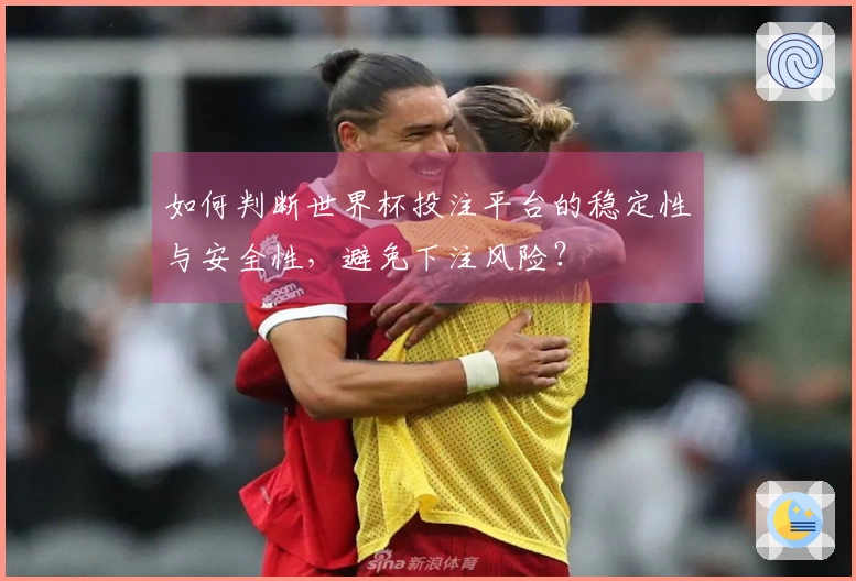 如何判断世界杯投注平台的稳定性与安全性，避免下注风险？