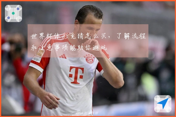 世界杯体彩竞猜怎么买，了解流程和注意事项能助你避坑