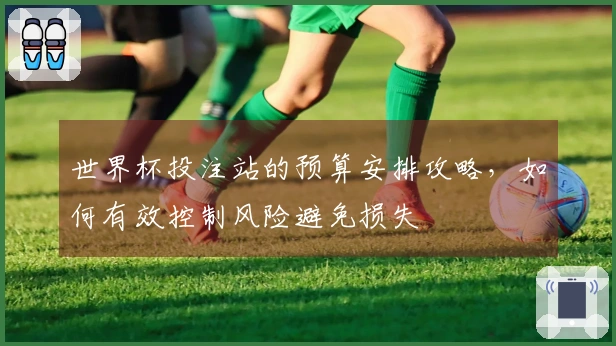 世界杯投注站的预算安排攻略，如何有效控制风险避免损失