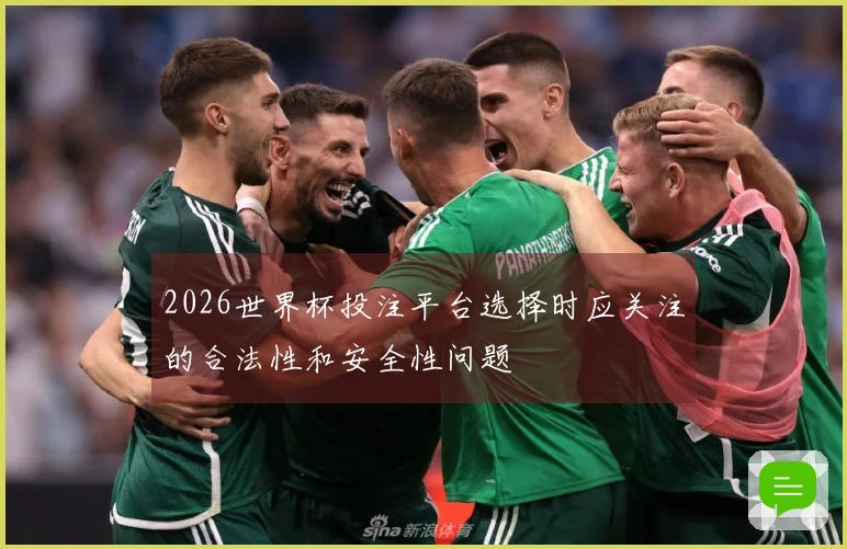 2026世界杯投注平台选择时应关注的合法性和安全性问题