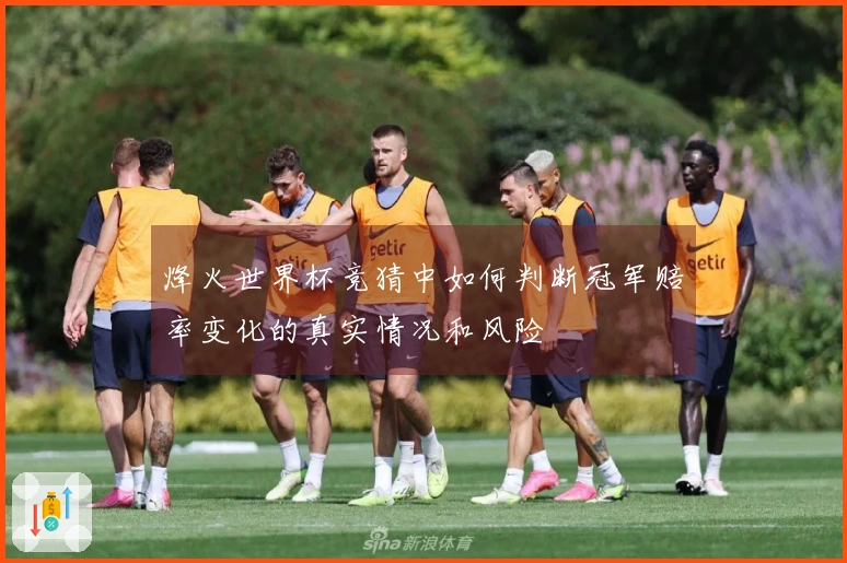 烽火世界杯竞猜中如何判断冠军赔率变化的真实情况和风险