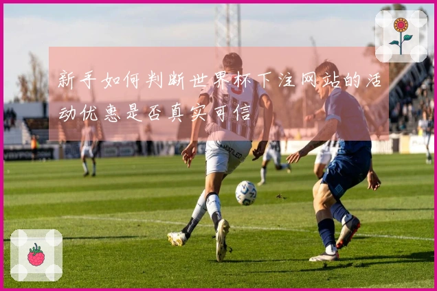 新手如何判断世界杯下注网站的活动优惠是否真实可信