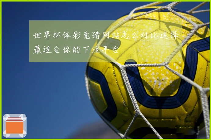 世界杯体彩竞猜网站怎么对比选择最适合你的下注平台