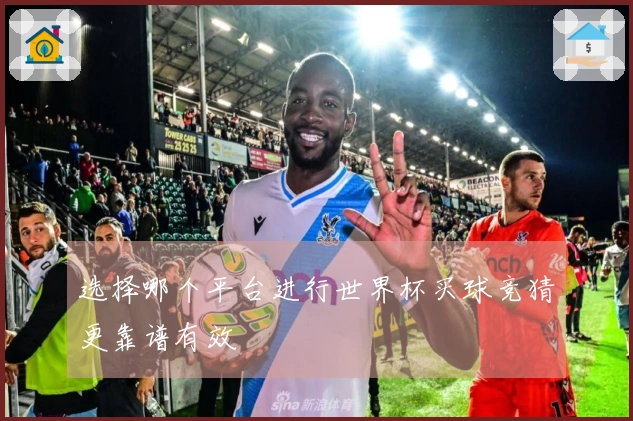 选择哪个平台进行世界杯买球竞猜更靠谱有效