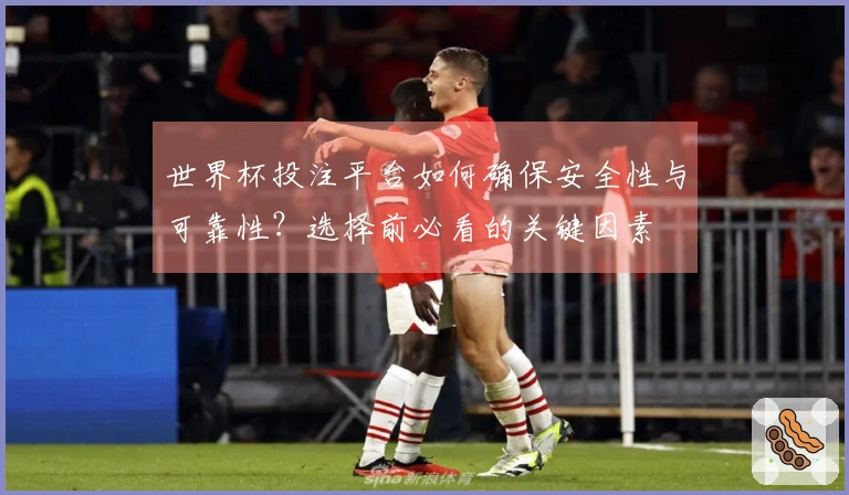 世界杯投注平台如何确保安全性与可靠性？选择前必看的关键因素