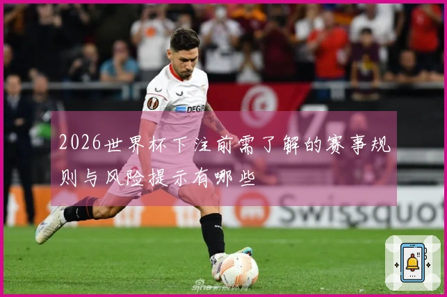 2026世界杯下注前需了解的赛事规则与风险提示有哪些