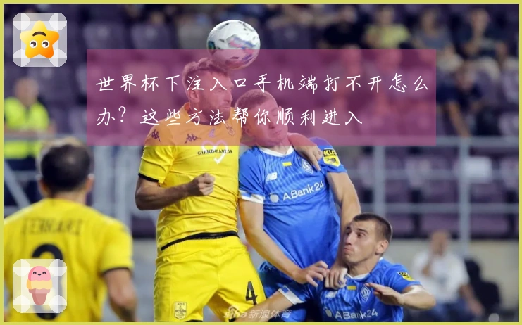 世界杯下注入口手机端打不开怎么办？这些方法帮你顺利进入