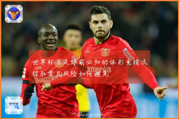 世界杯买足球前必知的体彩竞猜流程和常见风险如何避免