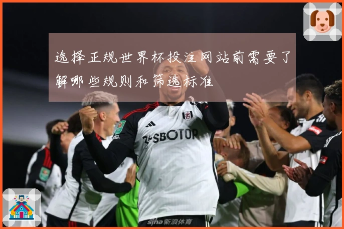选择正规世界杯投注网站前需要了解哪些规则和筛选标准