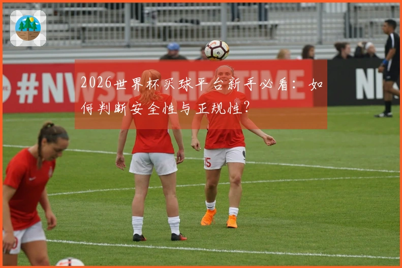 2026世界杯买球平台新手必看：如何判断安全性与正规性？