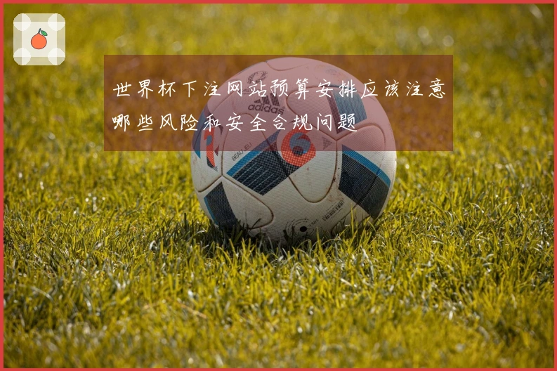 世界杯下注网站预算安排应该注意哪些风险和安全合规问题