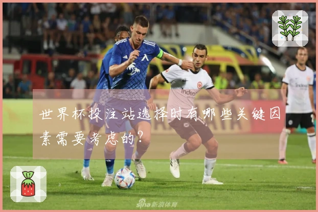 世界杯投注站选择时有哪些关键因素需要考虑的？