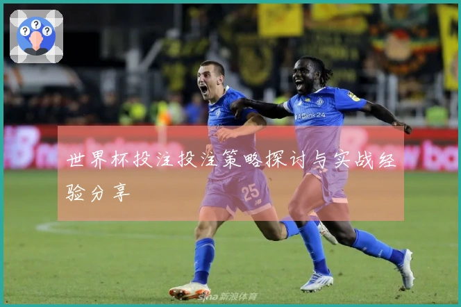 世界杯投注投注策略探讨与实战经验分享