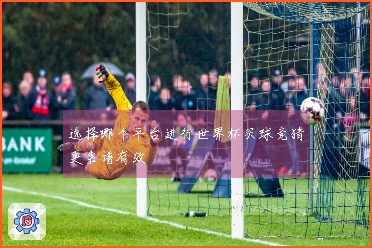 选择哪个平台进行世界杯买球竞猜更靠谱有效