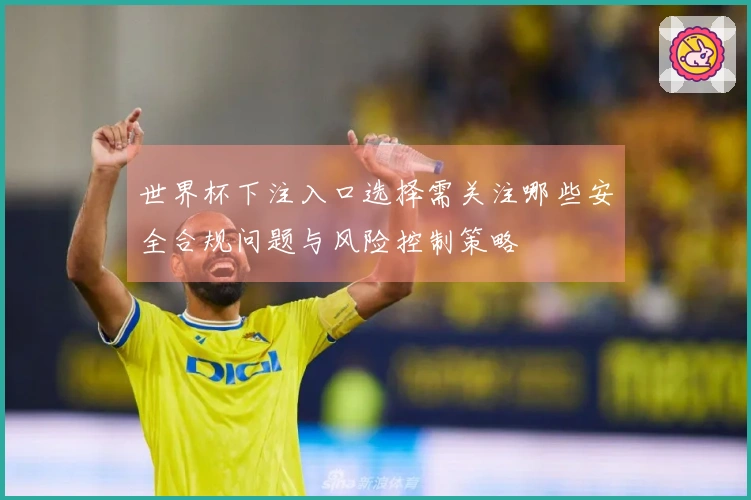 世界杯下注入口选择需关注哪些安全合规问题与风险控制策略
