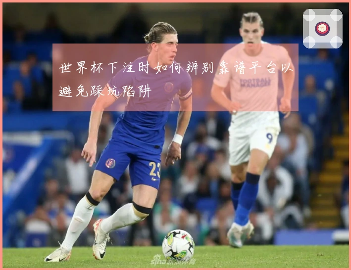 世界杯下注时如何辨别靠谱平台以避免踩坑陷阱