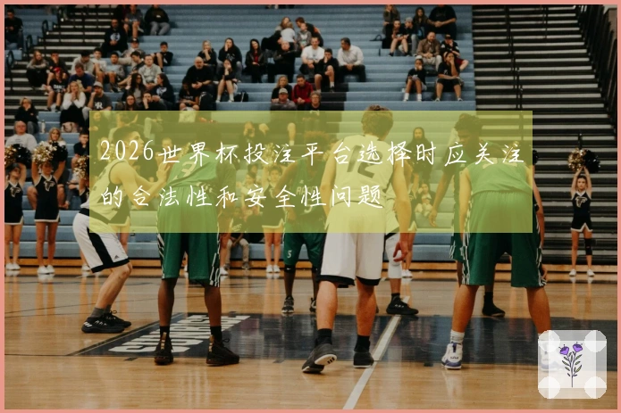 2026世界杯投注平台选择时应关注的合法性和安全性问题