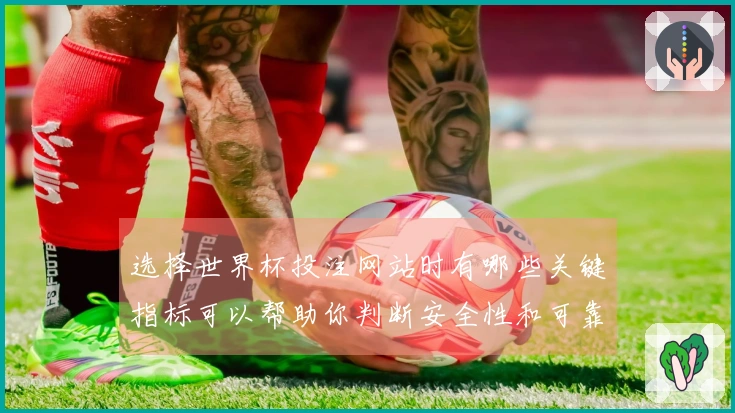 选择世界杯投注网站时有哪些关键指标可以帮助你判断安全性和可靠性？