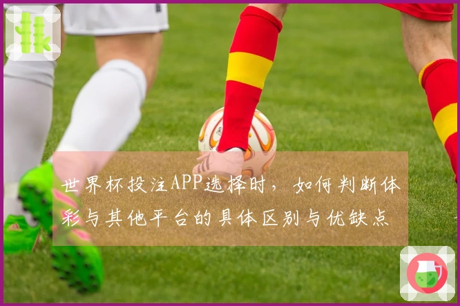 世界杯投注APP选择时，如何判断体彩与其他平台的具体区别与优缺点？