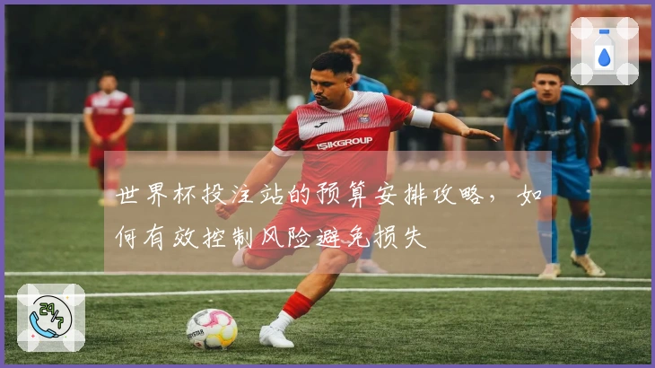 世界杯投注站的预算安排攻略，如何有效控制风险避免损失