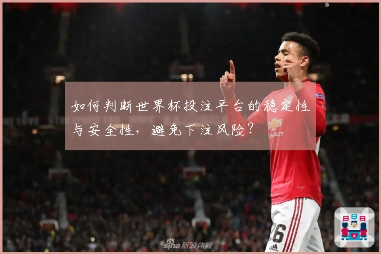 如何判断世界杯投注平台的稳定性与安全性，避免下注风险？