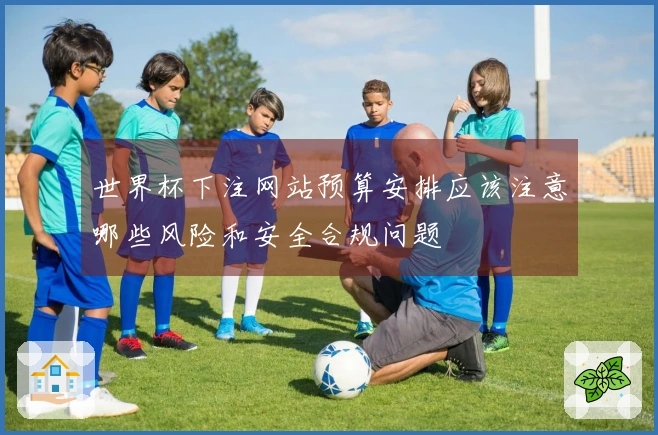 世界杯下注网站预算安排应该注意哪些风险和安全合规问题