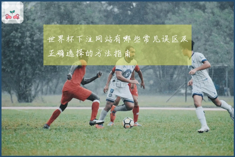 世界杯下注网站有哪些常见误区及正确选择的方法指南